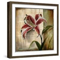 Vintage Studio I-Patricia Pinto-Framed Premium Giclee Print