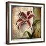 Vintage Studio I-Patricia Pinto-Framed Premium Giclee Print