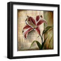 Vintage Studio I-Patricia Pinto-Framed Art Print