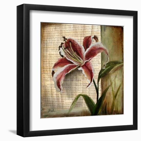 Vintage Studio I-Patricia Pinto-Framed Art Print