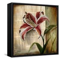 Vintage Studio I-Patricia Pinto-Framed Stretched Canvas