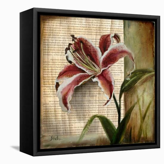 Vintage Studio I-Patricia Pinto-Framed Stretched Canvas