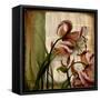 Vintage Studio II-Patricia Pinto-Framed Stretched Canvas