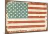 Vintage Style American Flag-Alisa Foytik-Mounted Art Print