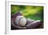 Vintage Style Baseball Glove and Ball-soupstock-Framed Photographic Print