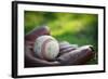 Vintage Style Baseball Glove and Ball-soupstock-Framed Photographic Print