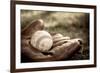 Vintage Style Baseball Glove and Ball-soupstock-Framed Photographic Print