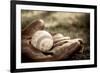 Vintage Style Baseball Glove and Ball-soupstock-Framed Photographic Print