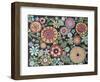 Vintage Style Floral 1-Karla Gerard-Framed Giclee Print