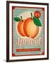 Vintage Styled Apricot-Marvid-Framed Art Print