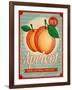 Vintage Styled Apricot-Marvid-Framed Art Print