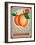 Vintage Styled Apricot-Marvid-Framed Art Print