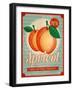 Vintage Styled Apricot-Marvid-Framed Art Print