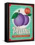 Vintage Styled Fresh Plums-Marvid-Framed Stretched Canvas