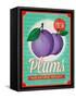 Vintage Styled Fresh Plums-Marvid-Framed Stretched Canvas