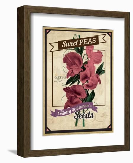 Vintage Sweet Peas Packet-null-Framed Giclee Print