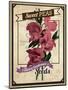 Vintage Sweet Peas Packet-null-Mounted Giclee Print