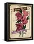 Vintage Sweet Peas Packet-null-Framed Stretched Canvas