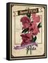 Vintage Sweet Peas Packet-null-Framed Stretched Canvas