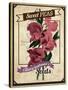 Vintage Sweet Peas Packet-null-Stretched Canvas