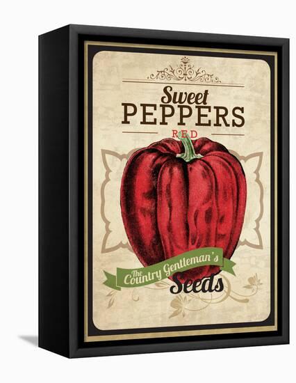 Vintage Sweet Pepper Seed Packet-null-Framed Stretched Canvas