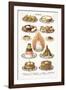 Vintage Sweets-The Vintage Collection-Framed Giclee Print