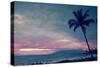 Vintage Take on a Tropical Sunset on Maui in Hawaii-pdb1-Stretched Canvas