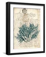 Vintage Teal Seaweed I-Vision Studio-Framed Art Print