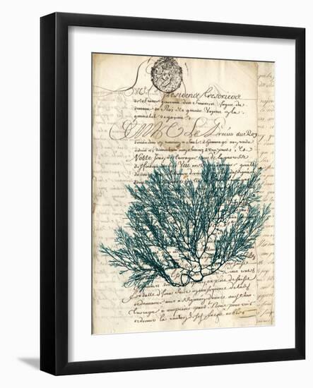 Vintage Teal Seaweed I-Vision Studio-Framed Art Print