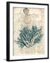 Vintage Teal Seaweed I-Vision Studio-Framed Art Print