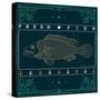 Vintage Thin Line Fish Label-karnoff-Stretched Canvas