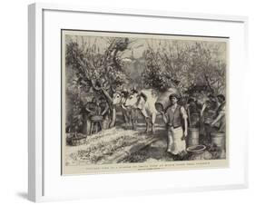 Vintage Time in a Podere or Small Farm at Monte Fiano, Near Florence-Hubert von Herkomer-Framed Giclee Print