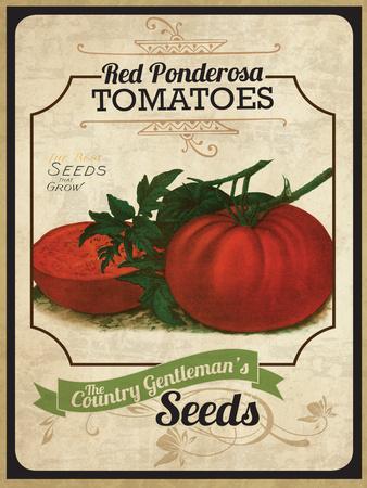 TOMATO 印刷物セット Vintage Tomato Seed Packet' Giclee Print | AllPosters.com