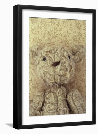 Vintage Toy Bear-Den Reader-Framed Photographic Print