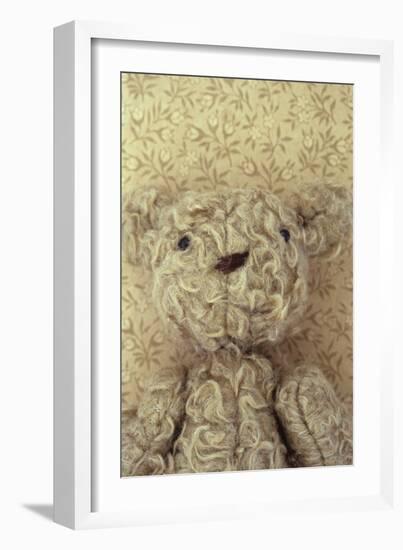 Vintage Toy Bear-Den Reader-Framed Photographic Print