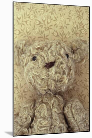 Vintage Toy Bear-Den Reader-Mounted Photographic Print