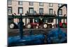 Vintage Tractors Lined Up Outside Lalors Hotel, Dungarvan, County Waterford, Ireland-null-Mounted Photographic Print