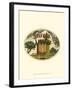 Vintage Travel Label II-null-Framed Art Print