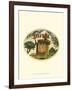 Vintage Travel Label II-null-Framed Art Print