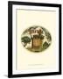 Vintage Travel Label II-null-Framed Art Print