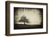 Vintage Tree-sliper84-Framed Photographic Print