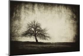 Vintage Tree-sliper84-Mounted Photographic Print