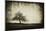 Vintage Tree-sliper84-Mounted Photographic Print