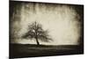 Vintage Tree-sliper84-Mounted Photographic Print