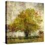 Vintage Tree-Anna Polanski-Stretched Canvas