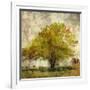 Vintage Tree-Anna Polanski-Framed Art Print