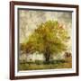 Vintage Tree-Anna Polanski-Framed Art Print