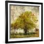 Vintage Tree-Anna Polanski-Framed Art Print