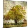 Vintage Tree-Anna Polanski-Mounted Art Print