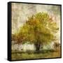 Vintage Tree-Anna Polanski-Framed Stretched Canvas